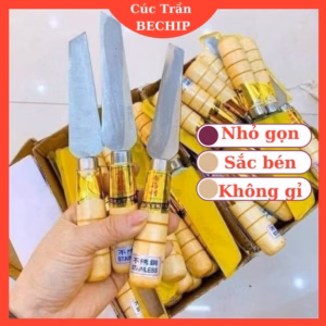 Dao Gọt Hoa Quả Cắt Trái Cây Mini Siêu Bén, Không Gỉ Ctb491 - Bechip