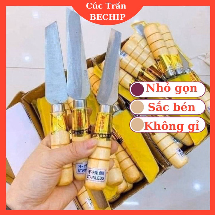 Dao Gọt Hoa Quả Cắt Trái Cây Mini Siêu Bén, Không Gỉ Ctb491 - Bechip