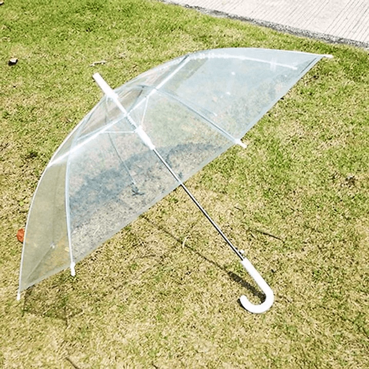 Ô Dù Trong Suốt Tự Bật Ctb535 - Bechip - Ảnh 8