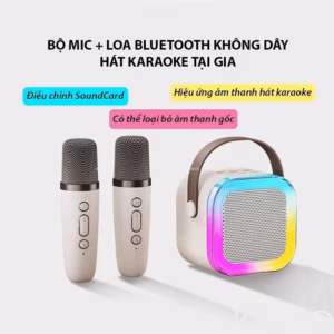 Loa Karaoke Mini K12 Kèm 2 Micro - Su
