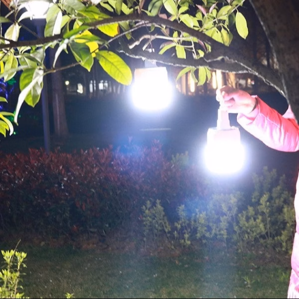 Bóng Đèn Tích Điện Led 100W - Kèm Điều Khiển Và Sạ - Ảnh 5