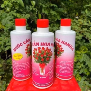 Nước Cắm Hoa Tươi Lâu Đến 2 Tuần