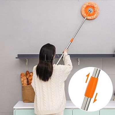 Cây Lau Nhà, Lau Trần Nhà Hình Hoa Hướng Dương - Ảnh 2