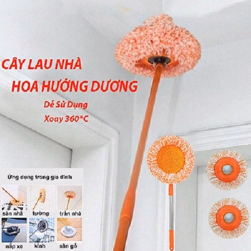 Cây Lau Nhà, Lau Trần Nhà Hình Hoa Hướng Dương - Ảnh 4
