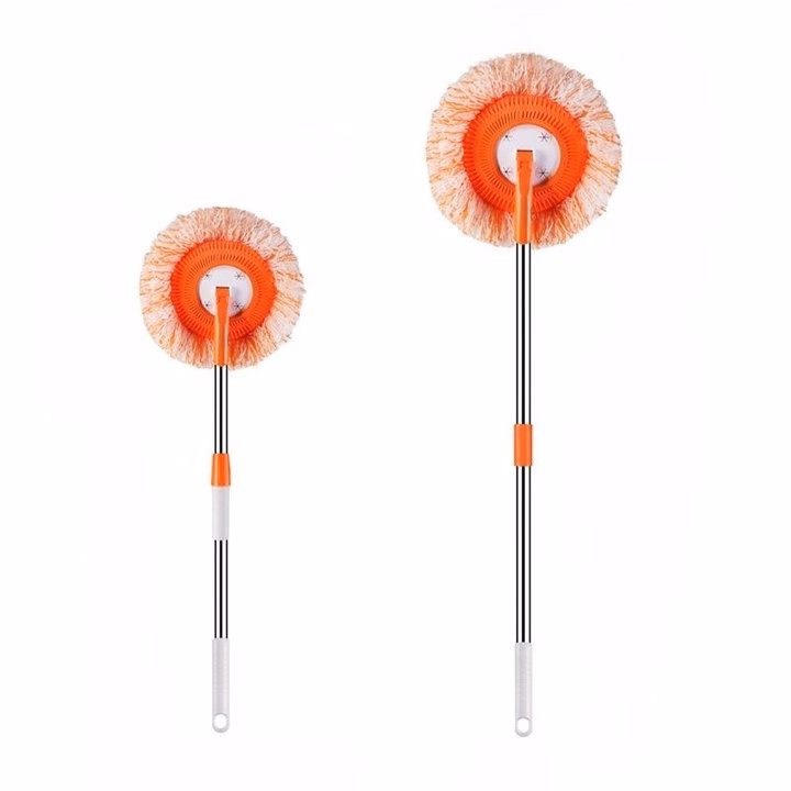 Cây Lau Nhà, Lau Trần Nhà Hình Hoa Hướng Dương - Ảnh 3