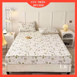Bộ Ga Và 2 Vỏ Gối Trần Bông Cotton Đũi Xơ Đậu Nành Hàng Vnxk Loại 1 Dày Đẹp Mê Ly Ctb668 - Bechip