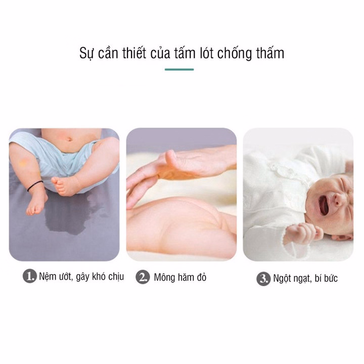 Tấm Lót Chống Thấm 4 Lớp Hình Thú 50X70Cm 02823 - Lady'S Passion - Ảnh 5