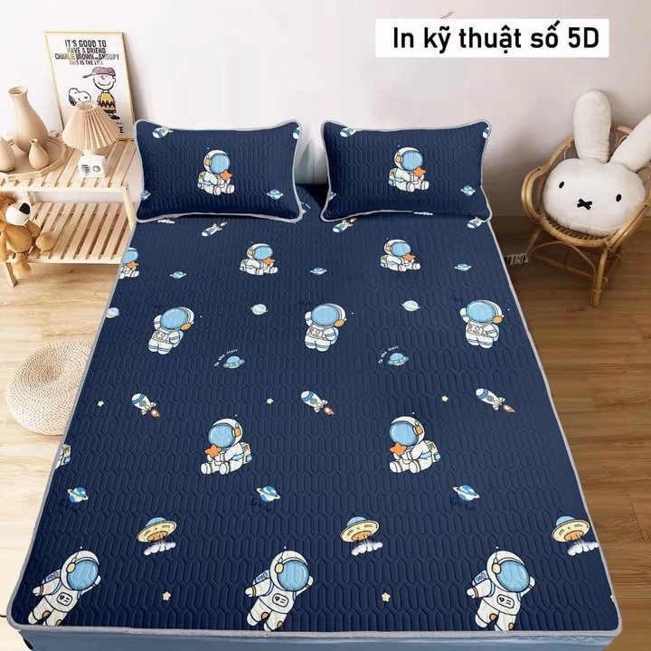 Chiếu Điều Hòa Cao Su Non - Ảnh 2