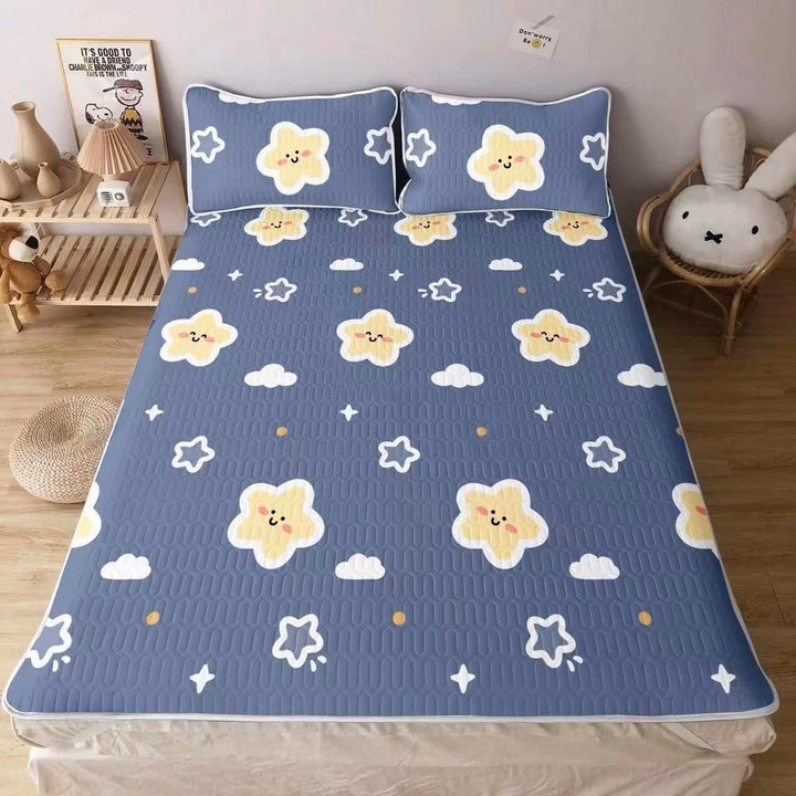 Chiếu Điều Hòa Cao Su Non - Ảnh 4