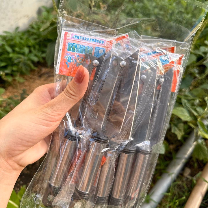 Dụng Cụ Gọt Rau Củ Quả 2In1 - Gdn - Ảnh 4