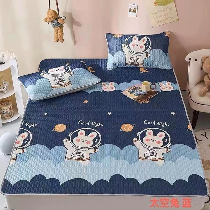 Chiếu Điều Hòa Cao Su Non Thoáng Mát - Ảnh 2