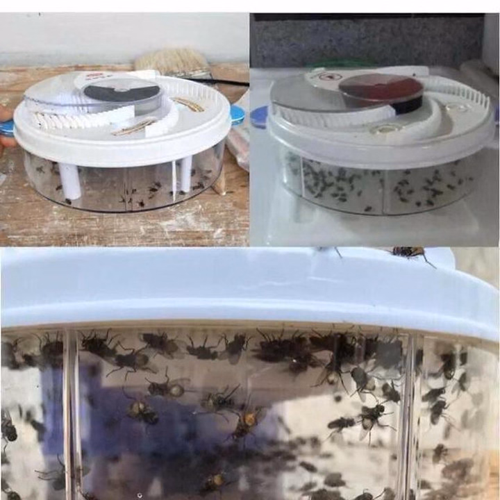 Máy Bắt Ruồi Tự Động Thông Minh
