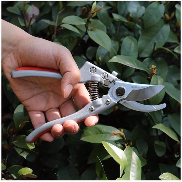 Kéo Cắt , Tỉa Cành Cây 210 Nhật Bản - Ảnh 5