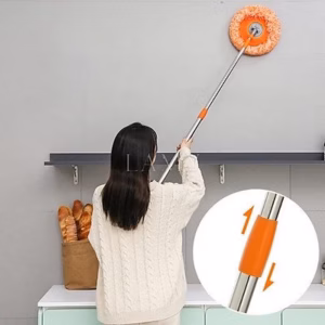 Cây Lau Nhà, Lau Trần Nhà Hình Hoa Hướng Dương