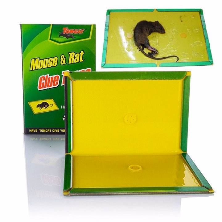 Miếng Dán Dính Chuột - Miếng Dán Bẫy Chuột Hiệu Quả - Ảnh 2