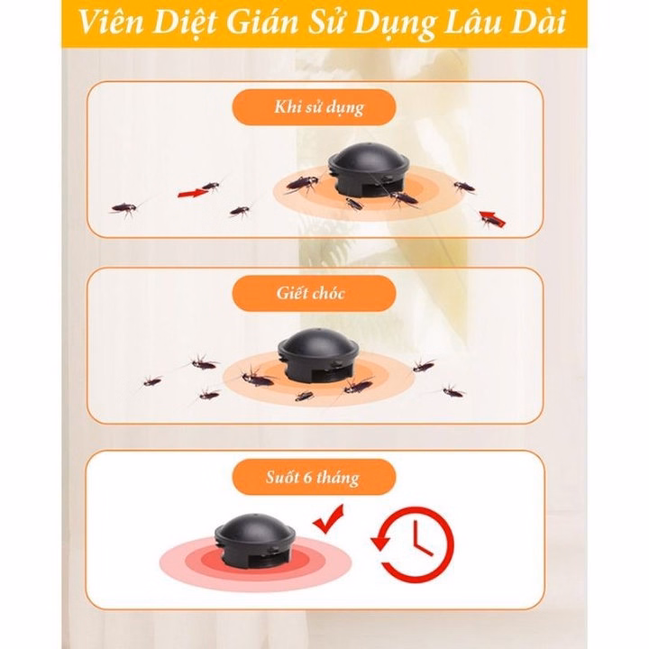 Thuốc Diệt Gián Nhật Bản , Diệt Tận Gốc Gián Loại Xịn Hộp 12 Viên - Su - Ảnh 4