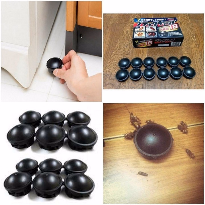 Thuốc Diệt Gián Nhật Bản , Diệt Tận Gốc Gián Loại Xịn Hộp 12 Viên - Su - Ảnh 2