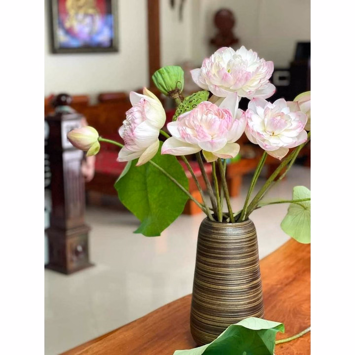 Bình Cắm Hoa Dáng Đu Đủ, Chất Liệu Gốm Sứ Bát Tràng Mộc Mạc, Tinh Tế - Chipxinhxk - Ảnh 4
