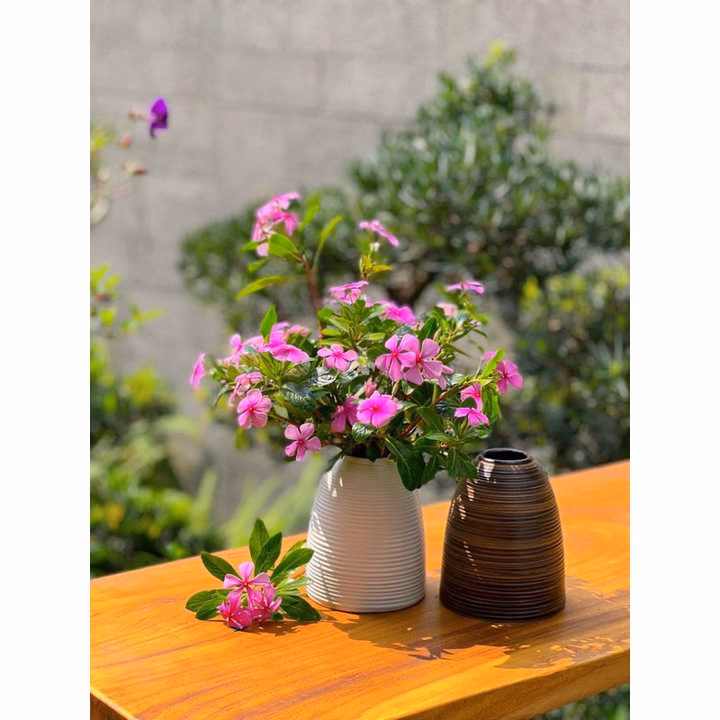 Bình Cắm Hoa Gốm Bát Tràng Dáng Chuông, Size Mini Cao 15Cm - Chipxinhxk - Ảnh 2