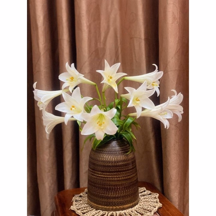 Bình Cắm Hoa Gốm Bát Tràng Dáng Chuông, Size Mini Cao 15Cm - Chipxinhxk - Ảnh 6