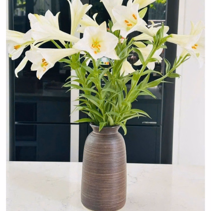 Bộ 3 Bình Gốm Bát Tràng Miệng Loe, Men Mộc Vân Ganh Decor Trang Trí, Cắm Hoa ,Làm Quà Tặng Đẹp- Chipxinhxk - Ảnh 4
