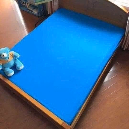 Ga Trải Giường Bọc Đệm Chống Thấm - Ảnh 4