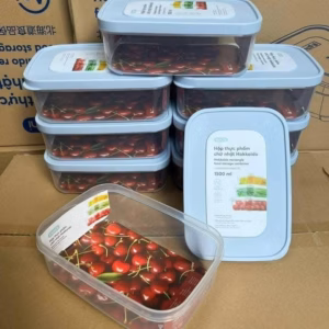 Hộp Nhựa Đựng Thực Phẩm 1000Ml