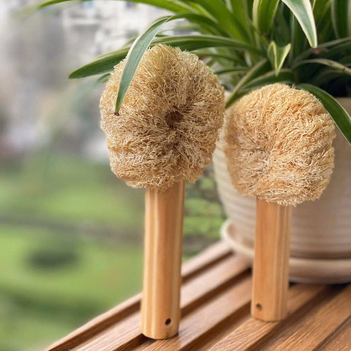Cây Cọ Rửa Đa Năng - Cán Gỗ 10 Cm – Làm Sạch Tiện Lợi, Bảo Vệ Môi Trường - Kb - Ảnh 2