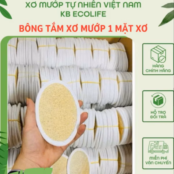 Bông Tắm Xơ Mướp 1 Mặt Xơ - Hình Oval - Sỉze 9*13 - Kb Ecolife - Ảnh 5