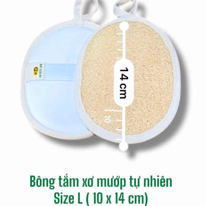 Bông Tắm Xơ Mướp 1 Mặt Xơ - Hình Oval - Size 10*14 - Tự Nhiên - Kb Ecolife - Ảnh 4
