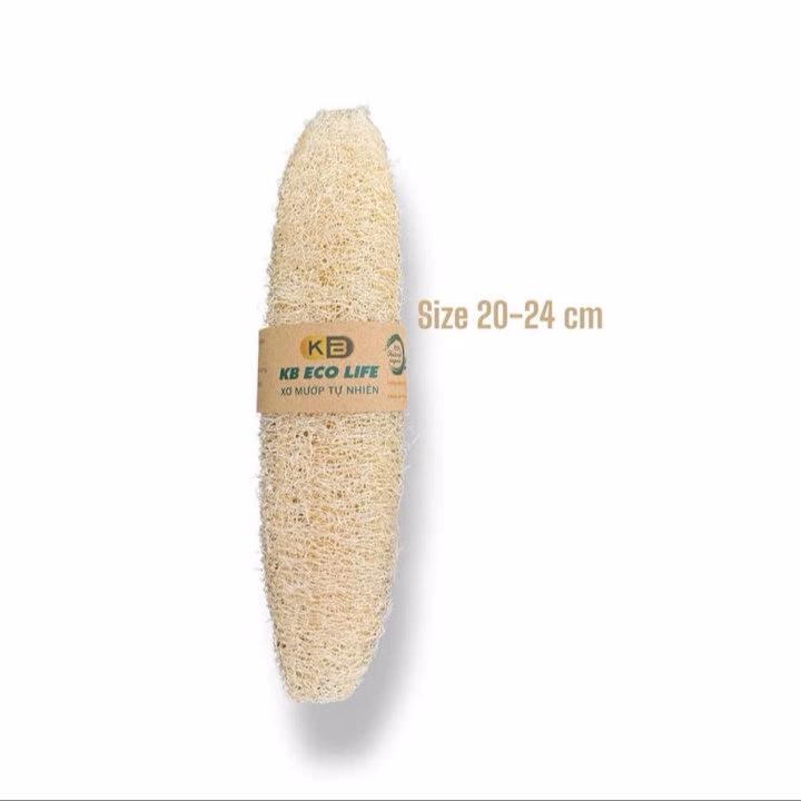 Xơ Mướp Nguyên Trái Lành Tính - Size 20 Đến 24 Cm - Kb - Ảnh 2