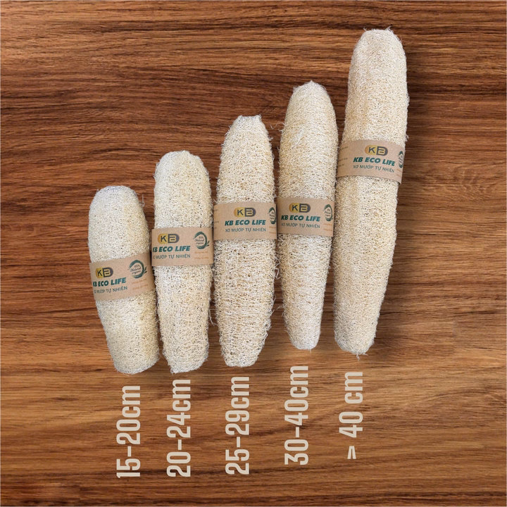 Xơ Mướp Nguyên Trái Lành Tính - Size Trên 40 Cm -Kb - Ảnh 6