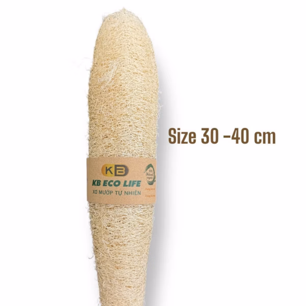 Xơ Mướp Nguyên Trái Lành Tính - Size 30 Đến 40 Cm - Kb - Ảnh 2