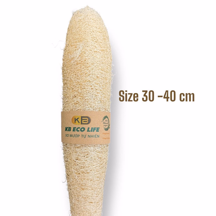 Xơ Mướp Nguyên Trái Lành Tính - Size 30 Đến 40 Cm - Kb - Ảnh 2