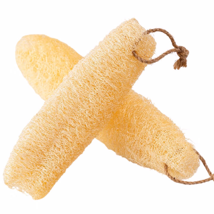 Xơ Mướp Nguyên Trái Lành Tính - Size 15Cm Đến 20Cm - Kb - Ảnh 5