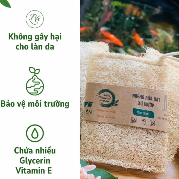 Miếng Rửa Bát Xơ Mướp Hình Chữ Nhật - Size 8*11 - Tạo Bọt Mịn Rửa Sạch Chén Bát , An Toàn Cho Da -Kb - Ảnh 3