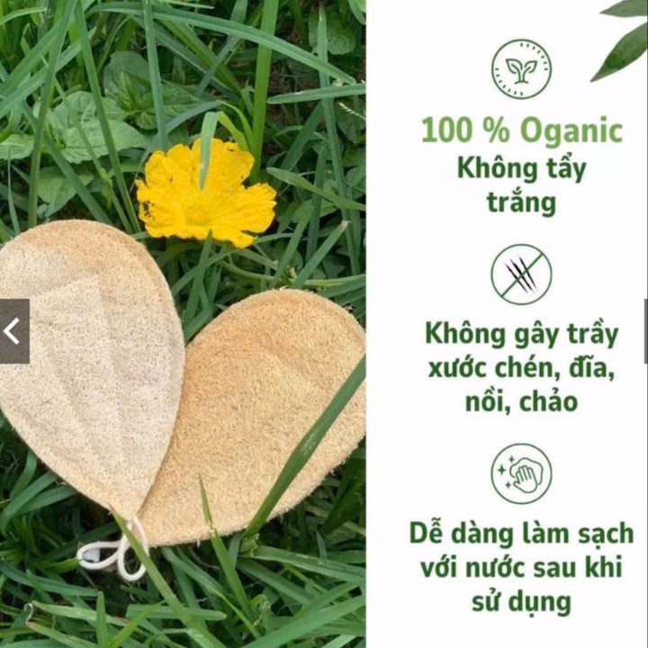 Miếng Rửa Bát Xơ Mướp Hình Giọt Nước - Size 8,5*13,5Cm - Rửa Sạch Chén Bát An Toàn Cho Da -Kb - Ảnh 5