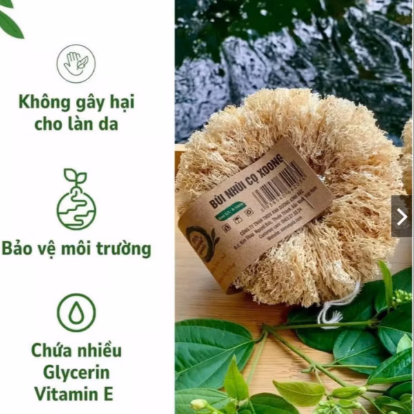 Combo 2 Bùi Nhùi Cọ Xoong Nồi Xơ Mướp Tự Nhiên - 2 Miếng / Túi - Kb - Ảnh 3