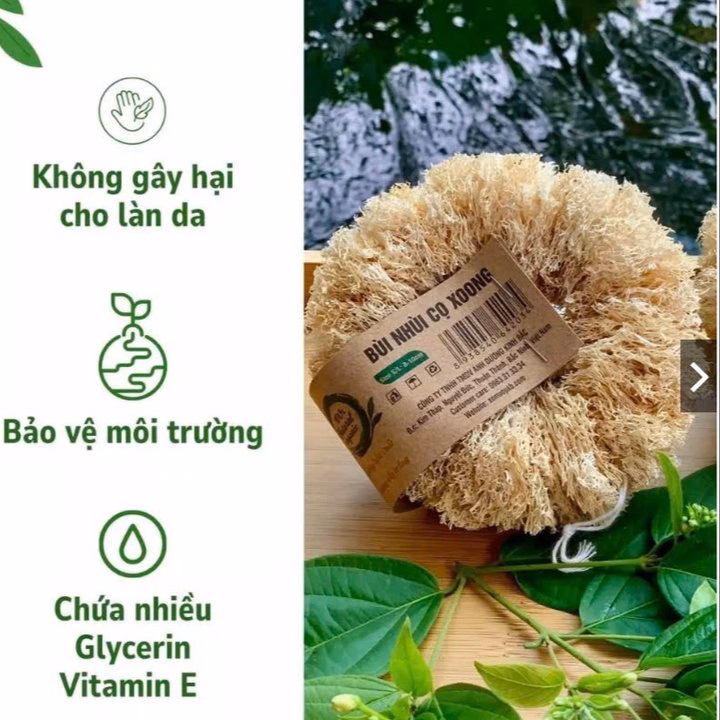 Combo 2 Bùi Nhùi Cọ Xoong Nồi Xơ Mướp Tự Nhiên - 2 Miếng / Túi - Kb - Ảnh 3