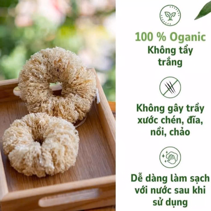 Combo 2 Bùi Nhùi Cọ Xoong Nồi Xơ Mướp Tự Nhiên - 2 Miếng / Túi - Kb