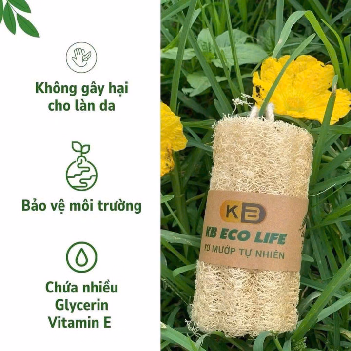 Rửa Bát Xơ Mướp Cắt Khúc - Với Sản Phẩm Được Làm Hoàn Toàn Từ Xơ Mướp Thiên Nhiên An Toàn Cho Da - Kb - Ảnh 7