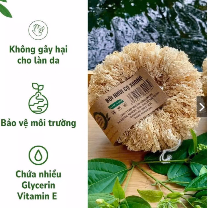 Bùi Nhùi Cọ Xoong Nồi Xơ Mướp Tự Nhiên - Kb - Ảnh 5