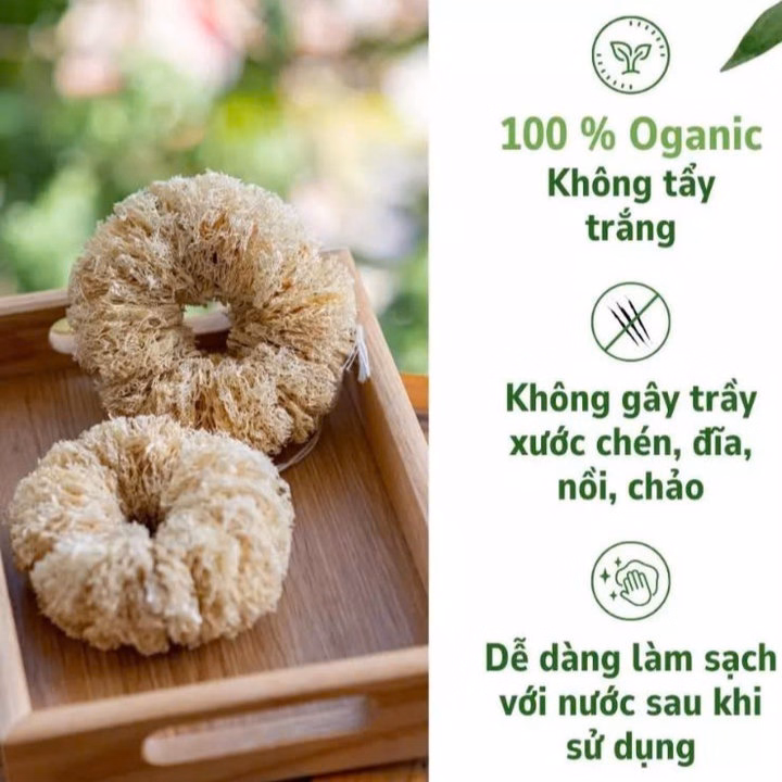 Bùi Nhùi Cọ Xoong Nồi Xơ Mướp Tự Nhiên - Kb - Ảnh 6