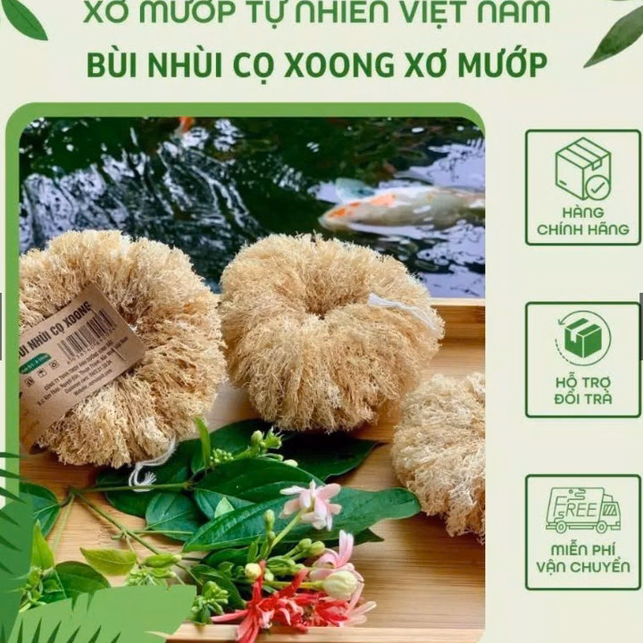 Bùi Nhùi Cọ Xoong Nồi Xơ Mướp Tự Nhiên - Kb - Ảnh 7
