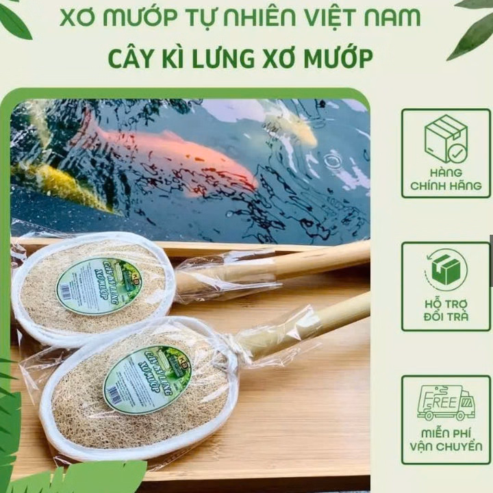 Cây Kì Lưng Xơ Mướp Làm Sạch Sâu Tẩy Da Chết - Size 40Cm - Kb - Ảnh 6
