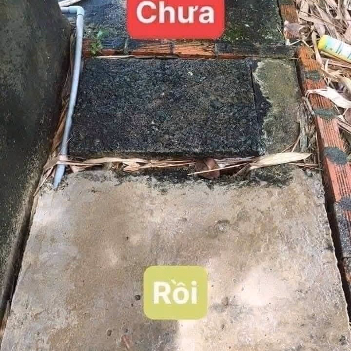 Bột Diệt Rong Rêu, Tảo Trong Nước, Sàn Xi Măng, Tường Gạch,,, - Ảnh 3
