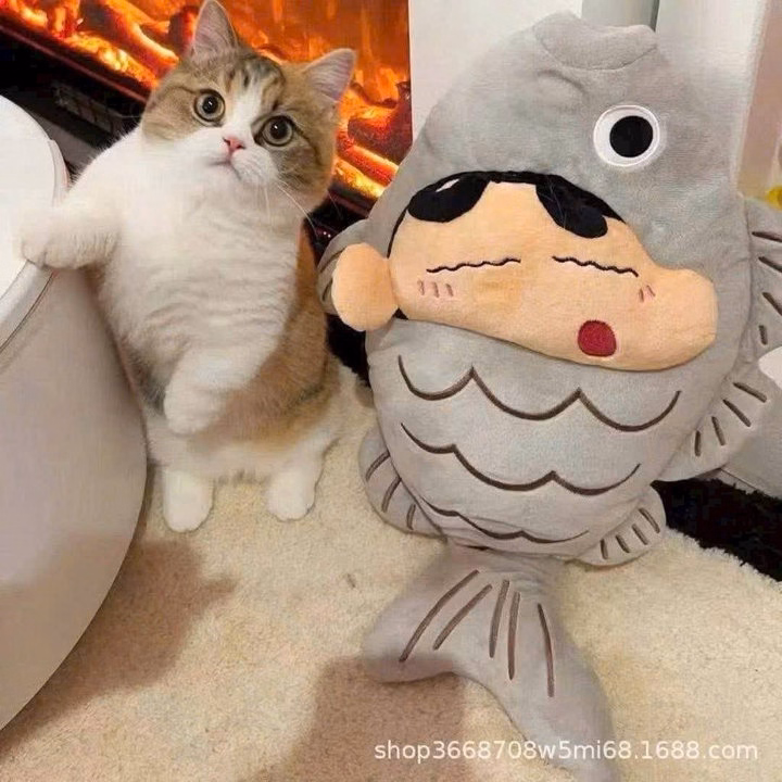 Gối Ôm Cushin Hình Con Cá Siêu Dễ Thương - Ảnh 3