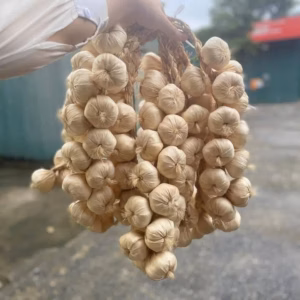Dây Nông Sản Trang Trí - Củ Quả Giả - Trang Trí Quán Cà Phê, Bếp, Quán Ăn, Lễ Hội, Nhà Hàng, Khách Sạn