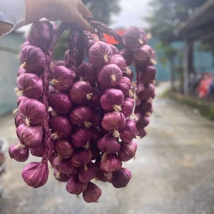 Dây Nông Sản Trang Trí - Củ Quả Giả - Trang Trí Quán Cà Phê, Bếp, Quán Ăn, Lễ Hội, Nhà Hàng, Khách Sạn - Ảnh 5