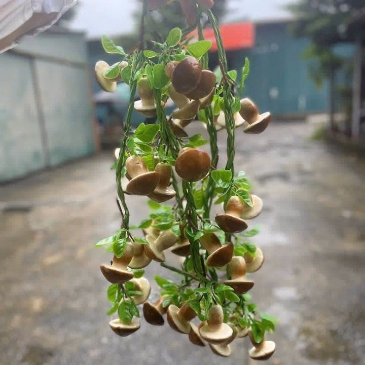 Dây Nông Sản Trang Trí - Củ Quả Giả - Trang Trí Quán Cà Phê, Bếp, Quán Ăn, Lễ Hội, Nhà Hàng, Khách Sạn - Ảnh 8